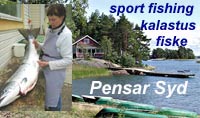 Accommodation, Reastaurant, programs in Pensar Syd